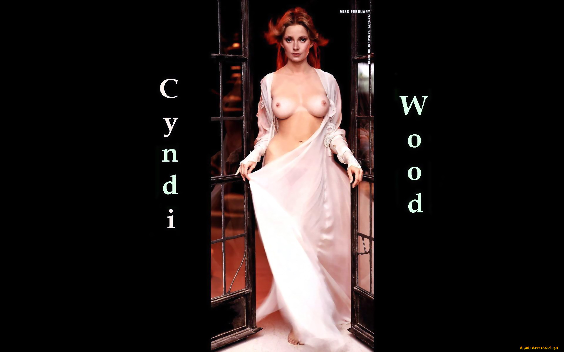 cyndi, wood, , , , , 